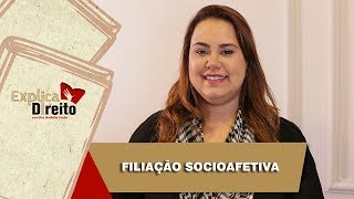 Explica Direito Filiação Socioafetiva  2019 [upl. by Astera711]