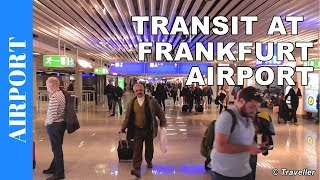 TRANSIT WALK AT FRANKFURT Airport FRA Terminal 1  Connection Flight Transfer Arriving amp Departing [upl. by Ecirtnahs]